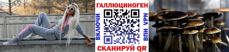 Псилоцибиновые грибы Cubensis купить наркотик OMG сайт Великий Устюг